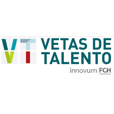 Vetas de Talento